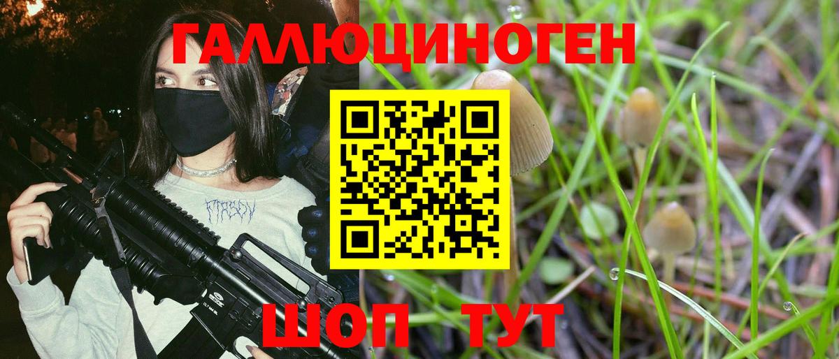 купить наркоту  Галлюциногенные грибы GOLDEN TEACHER  Вход с VPN  Псилоцибиновые грибы ЛСД  Нижний Новгород 